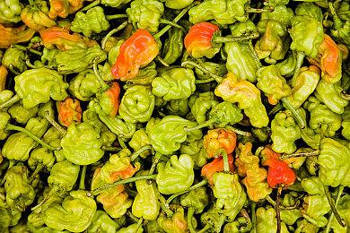 《潜水员戴夫》开发商MINTROCKET新作《Wakerunners》Demo 支持简中